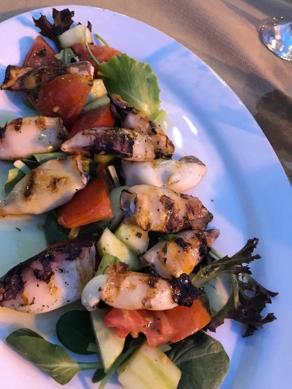 Mediterranean StuffedHalloumi Squid Salad Brisbane Naturopath