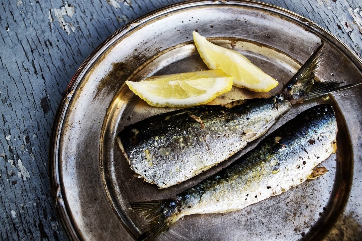 Get Into a Sardine Routine Brisbane Naturopath